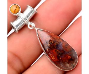 Rare Cady Mountain Agate and Tiger Eye Pendant SDP68239 P-1337, 12x26 mm
