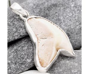 Genuine Shark Teeth Pendant SDP70496, 19x24 mm