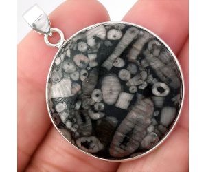 Natural Crinoid Fossil Coral Pendant SDP79117 P-1001, 31x31 mm