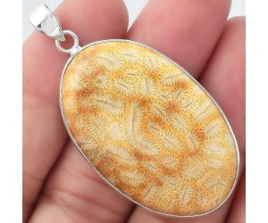 Natural Ant Fossil Coral Pendant SDP97903 P-1001, 25x40 mm
