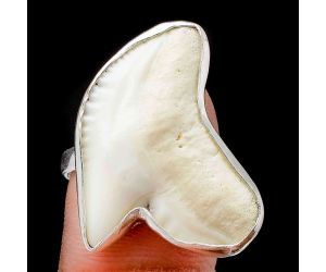 Natural Shark Teeth Ring size-9 SDR105675, 19x26 mm