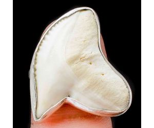 Natural Shark Teeth Ring size-9 SDR105722 R-1001, 24x27 mm