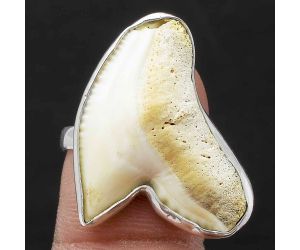 Natural Shark Teeth Ring size-8 SDR105820, 19x26 mm
