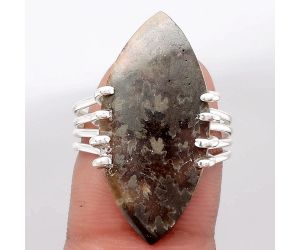 Natural Sutured Ammonite - Madagascar Ring size-8 SDR106383 R-1259, 14x28 mm