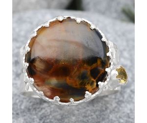 Pietersite - Namibia and Citrine Ring size-7 SDR127556 R-1568, 15x15 mm