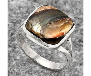 Natural Copper Abalone Shell Ring size-8 SDR139649 R-1005, 12x12 mm