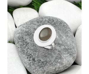 Natural Gray Moonstone Ring size-8 SDR160205 R-1082, 9x12 mm