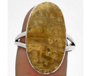 Natural Palm Root Fossil Agate Ring size-8.5 SDR178005 R-1002, 13x23 mm