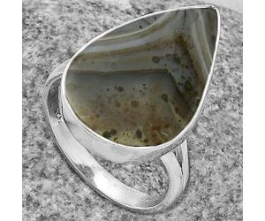 Natural Montana Agate - USA Ring size-8.5 SDR178164 R-1002, 15x23 mm
