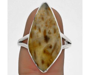 Natural Palm Root Fossil Agate Ring size-8 SDR178226 R-1002, 12x25 mm