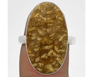 Natural Palm Root Fossil Agate Ring size-8 SDR178227 R-1001, 14x24 mm