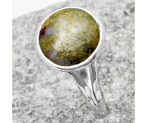 Dragon Blood Stone - South Africa Ring size-7.5 SDR180134 R-1008, 11x11 mm