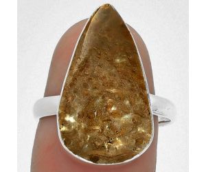 Natural Palm Root Fossil Agate Ring size-8 SDR182895 R-1001, 12x21 mm
