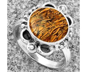 Coquina Fossil Jasper - India Ring size-7.5 SDR185312 R-1103, 12x12 mm