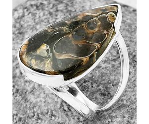 Turtella Jasper Ring size-6.5 SDR208036, 14x24 mm