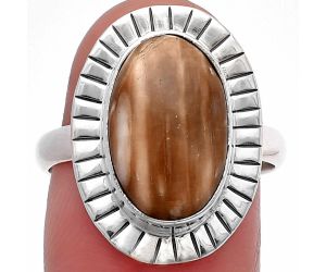 Petrified Wood Ring size-8 SDR215762 R-1086, 9x15 mm