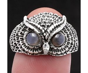 Owl - Gray Moonstone Ring size-7 SDR220482 R-1022, 4x4 mm
