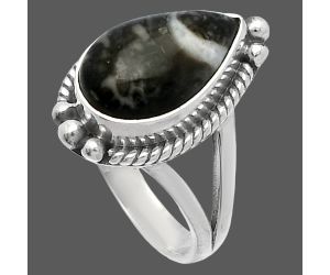 Mexican Cabbing Fossil Ring size-6 SDR225592 R-1253, 8x14 mm