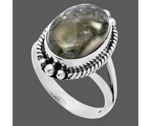 Mexican Cabbing Fossil Ring size-8 SDR225820 R-1253, 10x14 mm