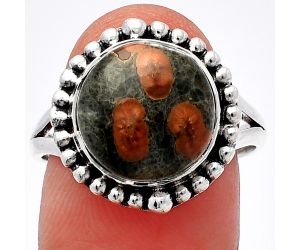 Peanut Obsidian Ring size-9 SDR225931 R-1154, 12x12 mm