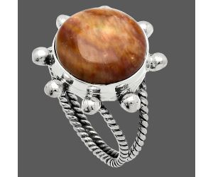 Petrified Wood Ring size-9 SDR229057 R-1268, 14x14 mm