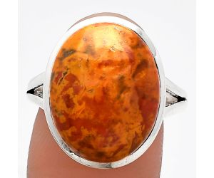 Rare Cady Mountain Agate Ring size-9.5 SDR230528 R-1005, 14x18 mm