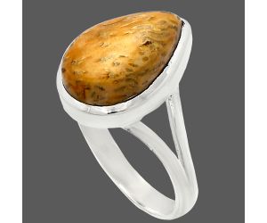 Palm Root Fossil Agate Ring size-9.5 SDR230550 R-1005, 10x16 mm