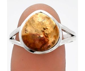 Palm Root Fossil Agate Ring size-9.5 SDR230576 R-1005, 12x12 mm