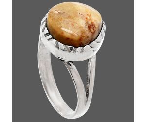 Palm Root Fossil Agate Ring size-8 SDR230997 R-1074, 12x12 mm