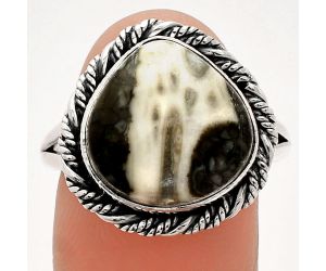 Mexican Cabbing Fossil Ring size-9.5 SDR231462 R-1014, 14x14 mm