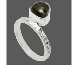 Mexican Cabbing Fossil Ring size-6 SDR234121 R-1037, 8x8 mm