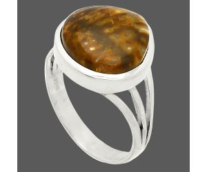Palm Root Fossil Agate Ring size-9 SDR234717 R-1006, 13x13 mm