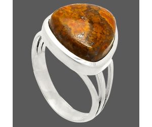 Rare Cady Mountain Agate Ring size-7 SDR234721 R-1006, 12x12 mm