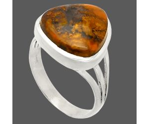 Rare Cady Mountain Agate Ring size-9 SDR234849 R-1006, 14x14 mm