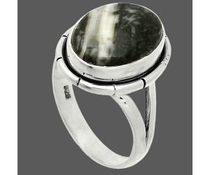 Mexican Cabbing Fossil Ring size-6.5 SDR235709 R-1012, 10x13 mm
