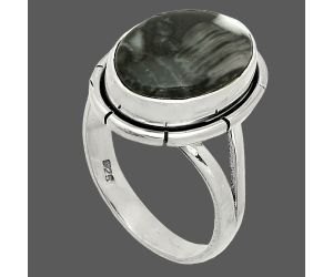 Mexican Cabbing Fossil Ring size-6.5 SDR235807 R-1012, 10x14 mm