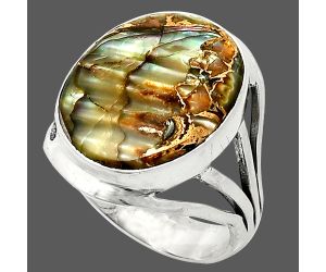 Copper Abalone Shell Ring size-8.5 SDR237858 R-1219, 15x18 mm