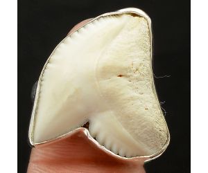 Genuine Shark Teeth Ring size-8.5 SDR75785, 21x23 mm