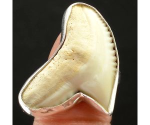 Genuine Shark Teeth Ring size-8.5 SDR75827, 20x28 mm