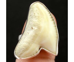 Genuine Shark Teeth Ring size-8.5 SDR75848, 19x27 mm