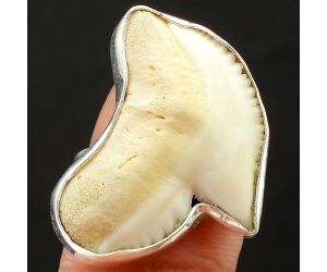 Natural Genuine Shark Teeth Ring size-8 SDR75850 R-1001, 19x26 mm