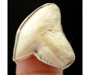 Genuine Shark Teeth Ring size-8.5 SDR75858, 21x24 mm