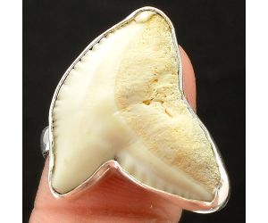 Natural Genuine Shark Teeth Ring size-9 SDR75893, 20x26 mm