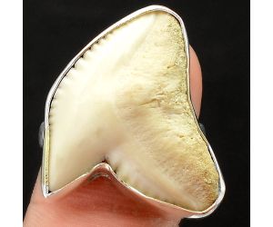 Natural Genuine Shark Teeth Ring size-8 SDR75894 R-1001, 20x24 mm