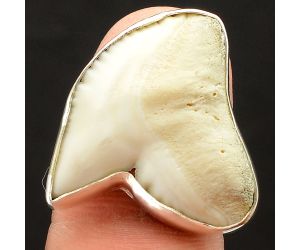 Natural Genuine Shark Teeth Ring size-8 SDR75935, 22x23 mm