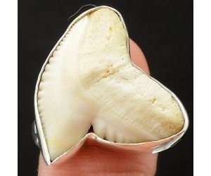 Genuine Shark Teeth Ring size-8.5 SDR75982, 21x23 mm