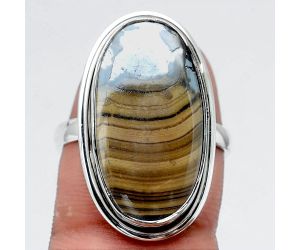Natural Schalenblende Polen Ring size-8 SDR97415 R-1156, 12x22 mm