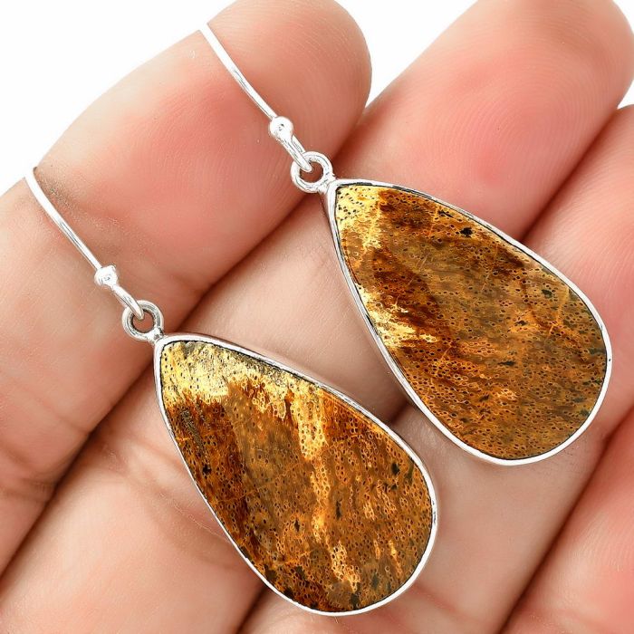 Natural Palm Root Fossil Agate Earrings SDE68780 E-1001, 15x26 mm
