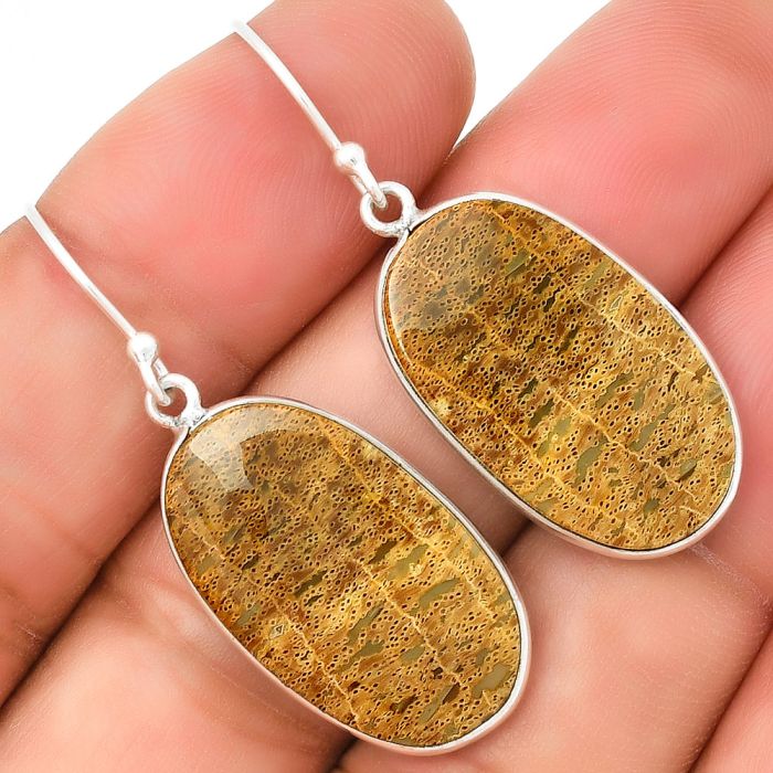 Natural Palm Root Fossil Agate Earrings SDE72279 E-1001, 14x24 mm