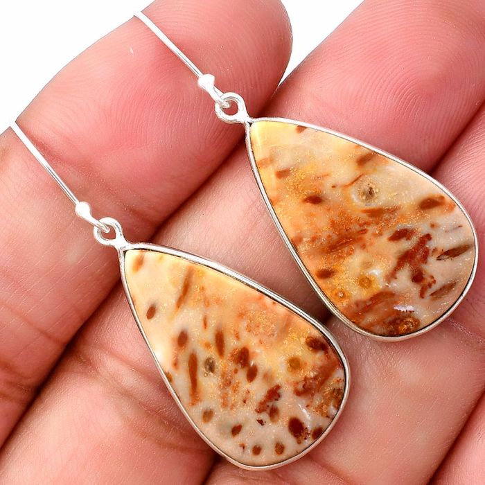 Palm Root Fossil Agate Earrings SDE75837 E-1001, 15x25 mm
